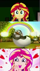 Size: 674x1186 | Tagged: safe, derpibooru import, edit, screencap, sunset shimmer, bird, penguin, eqg summertime shorts, equestria girls, pet project, meme, private, shimmering the gecko, the penguins of madagascar