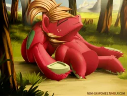 Size: 4000x3000 | Tagged: safe, artist:uliovka, derpibooru import, big macintosh, earth pony, pony, butt pillow, fetish, freckles, half, happy, lying, male, modular, not salmon, sleepy, solo, stallion, tail, underhoof, unshorn fetlocks, wat, what has magic done