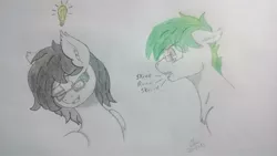 Size: 1024x576 | Tagged: safe, artist:cloudick, derpibooru import, oc, oc:silver sanction, bat pony, bat pony oc, black and white, eeee, female, grayscale, green eyes, male, monochrome, skree