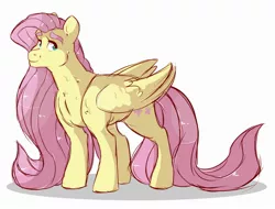 Size: 2500x1900 | Tagged: safe, artist:canisrettmajoris, derpibooru import, fluttershy, pegasus, pony, muscles, muscleshy, simple background, smiling, solo, tallershy, white background