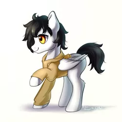 Size: 1024x1024 | Tagged: safe, artist:rikadiane, derpibooru import, oc, pegasus, pony, clothes, female, hoodie, mare, simple background, solo, white background