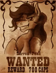 Size: 2042x2671 | Tagged: safe, artist:jamescorck, derpibooru import, oc, unofficial characters only, pegasus, pony, fallout equestria, fallout, grin, handsome, male, reward, sketch, smiling, smirk, stallion, the hopeful four, wanted poster, western