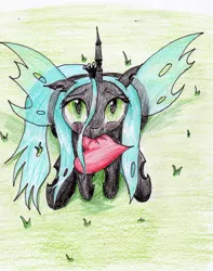 Size: 2091x2650 | Tagged: artist:40kponyguy, cheeselegs, cute, cutealis, derpibooru import, floppy ears, grass, heart, looking at you, looking up, mouth hold, queen chrysalis, safe, solo, spread wings, traditional art, wings