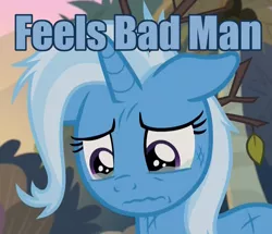 Size: 1194x1026 | Tagged: safe, derpibooru import, edit, edited screencap, screencap, trixie, pony, unicorn, road to friendship, crying, feels bad man, female, image macro, mare, meme, messy mane, sad, solo, text, trixie yells at everything, wavy mouth