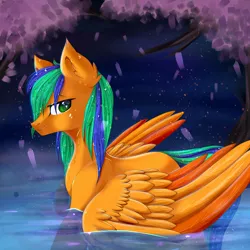 Size: 3000x3000 | Tagged: artist:silvia-zero, derpibooru import, male, oc, oc:naarkerotics, pegaduck, safe, solo, stallion, swan, swimming