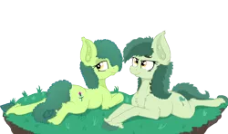 Size: 4252x2516 | Tagged: safe, artist:paskanaakka, derpibooru import, oc, oc:bittergreen, oc:thistle sprig, unofficial characters only, earth pony, pony, chest fluff, colored hooves, duo, duo female, ear fluff, female, lidded eyes, looking back, mare, prone, simple background, sisters, smiling, sploot, transparent background, underhoof, unshorn fetlocks