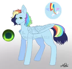 Size: 768x733 | Tagged: safe, artist:malinraf1615, derpibooru import, oc, oc:maxillian, unofficial characters only, pegasus, pony, chest fluff, gradient background, male, offspring, parent:rainbow dash, parent:soarin', parents:soarindash, rainbow hair, reference sheet, signature, solo, stallion, watermark