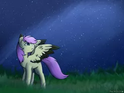 Size: 1600x1200 | Tagged: safe, artist:mariashapony, derpibooru import, night star, oc, oc:mariasha, pegasus, pony, female, grass, night, sad, solo, stars, wings