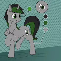 Size: 1280x1280 | Tagged: safe, artist:phenya, derpibooru import, oc, oc:spectrum heat, unofficial characters only, pony, unicorn, male, reference sheet, solo, stallion