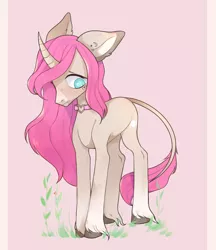 Size: 1856x2144 | Tagged: safe, artist:sweaty_peach, derpibooru import, oc, oc:tarot, unofficial characters only, classical unicorn, pony, unicorn, blushing, curved horn, digital art, ear piercing, female, floppy ears, freckles, leonine tail, long mane, long tail, looking down, mare, palomino, piercing, pink mane, shy, simple background, solo, unshorn fetlocks