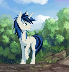 Size: 2860x3000 | Tagged: safe, artist:rublegun, derpibooru import, oc, unofficial characters only, pony, unicorn, commission, male, raised hoof, scenery, solo