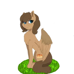 Size: 894x894 | Tagged: safe, artist:dannimation, derpibooru import, oc, oc:danipie, unofficial characters only, pegasus, pony, blue eyes, fangs, female, grass, looking at you, mare, simple background, sitting, smiling, solo, transparent background