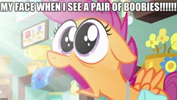 Size: 1280x720 | Tagged: suggestive, derpibooru import, edit, edited screencap, editor:useraccount, screencap, scootaloo, pegasus, pony, parental glideance, big eyes, bird watching, crepuscular rays, dilated pupils, excessive exclamation marks, eyes on the prize, faic, female, filly, floppy ears, frown, image macro, implied breasts, meme, open mouth, reaction image, saddle bag, scootaloo ultimate faic, shocked, solo, solo female, spread wings, wide eyes, wings