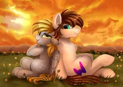 Size: 3550x2509 | Tagged: safe, artist:pridark, derpibooru import, derpy hooves, oc, pony, blushing, canon x oc, chest fluff, commission, female, male, smiling, straight, sunset, tongue out