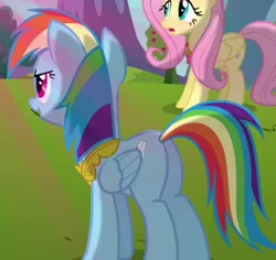 Size: 367x347 | Tagged: safe, derpibooru import, screencap, fluttershy, rainbow dash, pegasus, pony, keep calm and flutter on, cropped, duo, element of kindness, element of loyalty, female, mare, plot