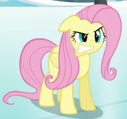 Size: 428x401 | Tagged: safe, derpibooru import, screencap, fluttershy, pegasus, pony, keep calm and flutter on, angry, cropped, cute, female, gritted teeth, madorable, mare, snow, solo