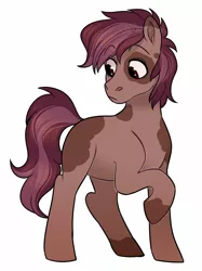 Size: 1280x1707 | Tagged: safe, artist:whisperseas, derpibooru import, oc, unofficial characters only, earth pony, pony, blank flank, coat markings, male, offspring, parent:pipsqueak, parent:scootaloo, parents:scootasqueak, raised hoof, simple background, solo, stallion, watermark, white background