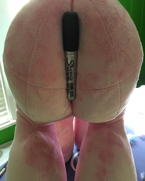 Size: 501x626 | Tagged: derpibooru import, implied anal, irl, photo, plushie, sharpie, suggestive