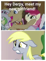 Size: 1165x1536 | Tagged: safe, derpibooru import, edit, edited screencap, screencap, bulk biceps, derpy hooves, doctor whooves, roseluck, shining armor, time turner, earth pony, pony, slice of life (episode), triple threat, comic, doctorrose, female, friendzone, male, mare, screencap comic, shipping, shipping denied, squishy cheeks, stallion, straight