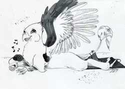 Size: 1736x1234 | Tagged: safe, artist:ellisarts, derpibooru import, oc, oc:der, unofficial characters only, gryphon, earbuds, lying down, male, micro, monochrome, mp3 player, music, music notes, solo, traditional art