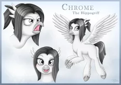 Size: 3400x2400 | Tagged: safe, artist:puggie, derpibooru import, oc, oc:chrome the hippogriff, hippogriff, angry, commission, flirty, hippogriff oc, reference sheet, solo