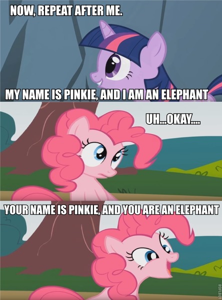 Size: 711x960 | Tagged: safe, derpibooru import, edit, edited screencap, screencap, pinkie pie, twilight sparkle, earth pony, elephant, pony, unicorn, feeling pinkie keen, caption, comic, dialogue, disney, duo, duo female, female, forgetful, idiocy, image macro, literal, mare, meme, parody, pinkie being pinkie, pumbaa, text, the lion king, timon, timon and pumbaa, trolling, uganda be an elephant