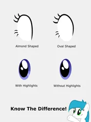 Size: 6961x9313 | Tagged: absurd resolution, artist:zylgchs, comparison, derpibooru import, description is relevant, eye, eyes, know the difference, oc, oc:cynosura, pointing, safe, simple background, solo, tutorial, unofficial characters only, vector
