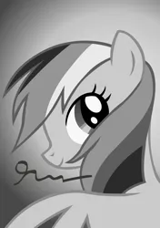 Size: 5000x7100 | Tagged: absurd resolution, artist:dzejpi, autograph, beautiful, black and white, bust, derpibooru import, grayscale, monochrome, photo, portrait, poster, rainbow dash, safe, solo, the mysterious mare do well, vector