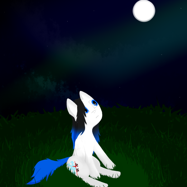 Size: 1024x1024 | Tagged: safe, artist:gexon_pane, derpibooru import, oc, oc:frozen tears, unofficial characters only, pegasus, pony, cloud, cloudy, female, field, grass, looking up, mare, moon, night, sitting, solo, stars