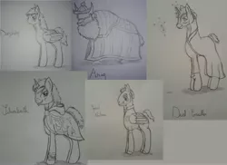 Size: 6448x4688 | Tagged: safe, artist:crainn, derpibooru import, oc, unofficial characters only, pegasus, pony, unicorn, yak, tails of equestria, absurd resolution, cape, clothes, crown, hat, jewelry, npc, pencil drawing, regalia, traditional art, uniform