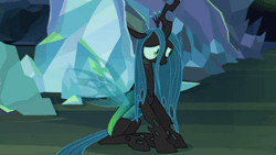 Size: 800x450 | Tagged: safe, derpibooru import, edit, edited screencap, screencap, ocellus, queen chrysalis, changeling, changeling queen, pony, season 8, what lies beneath, spoiler:s08, adorkable, animated, awkward, blinking, cropped, cute, cutealis, disguise, disguised changeling, dork, dorkalis, female, frown, gif, implied chrysalis, implied smolder, insecure, loop, mare, nervous, nightmare cave, offscreen character, raised hoof, shy, silly, silly pony, sitting, solo, spread wings, surprised, wings