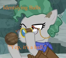 Size: 1133x1011 | Tagged: safe, derpibooru import, edit, edited screencap, screencap, professor fossil, pony, a rockhoof and a hard place, ball, caption, identifying wood, image macro, loupe, meme, solo, text