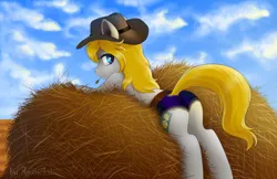Size: 1555x1008 | Tagged: suggestive, artist:rexiwiksi, derpibooru import, oc, oc:hickory switch, earth pony, pony, clothes, cloud, cloudy, commission, cowboy hat, detailed background, hat, hay, looking back, male, scenery, shorts, sky, solo, solo male, stallion, stetson, tail lift, ych result