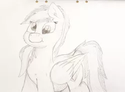 Size: 1338x980 | Tagged: safe, artist:mewliciousness, derpibooru import, oc, oc:joycie, pegasus, pony, chubby, cute, derp, female, mare, paper, solo, traditional art