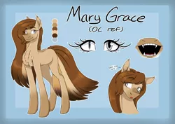 Size: 5883x4176 | Tagged: safe, artist:ggchristian, derpibooru import, oc, oc:mary, earth pony, pony, absurd resolution, female, mare, reference sheet, solo