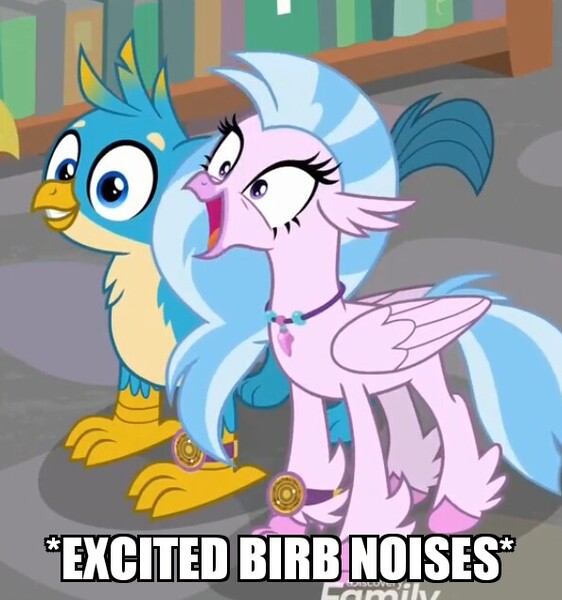 Size: 594x634 | Tagged: safe, derpibooru import, edit, edited screencap, screencap, gallus, silverstream, bird, classical hippogriff, gryphon, hippogriff, a matter of principals, adorable face, beak, birb, caption, claws, cute, descriptive noise, diastreamies, discovery family logo, duo, duo male and female, excited, female, gallabetes, happy, horsebird, image macro, jewelry, male, meme, necklace, smiling, standing, teenager, text, wings