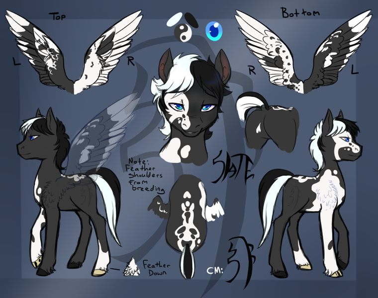 Size: 950x750 | Tagged: suggestive, artist:jitterbugjive, derpibooru import, oc, oc:slate, pegasus, pony, black and white mane, blue eyes, butt, heart mark, pinto, plot, reference sheet, smiling, smirk, two toned wings, wings, yin-yang