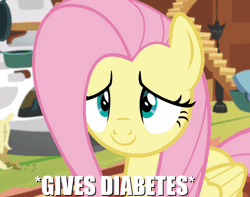 Size: 630x496 | Tagged: safe, derpibooru import, edit, edited screencap, screencap, fluttershy, butterfly, pegasus, pony, fluttershy leans in, adorable face, animated, big eyes, caption, cropped, cute, diabetes, eye shimmer, female, floppy ears, fluttershy's cottage, folded wings, image macro, indoors, mare, meme, shyabetes, smiley face, solo, text, wings