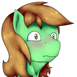 Size: 1004x1004 | Tagged: safe, artist:undermrph, derpibooru import, oc, oc:chrisgotjar, unofficial characters only, earth pony, pony, blushing, eye reflection, head only, male, profile, reflection, simple background, solo, stallion, transparent background