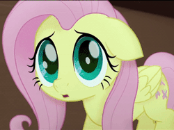 Size: 338x253 | Tagged: safe, derpibooru import, screencap, fluttershy, pinkie pie, twilight sparkle, twilight sparkle (alicorn), alicorn, earth pony, pegasus, pony, my little pony: the movie, animated, cropped, cute, female, floppy ears, gif, mare, open mouth, raised hoof, scared, shyabetes, solo focus