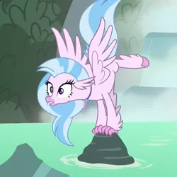 Size: 1079x1078 | Tagged: balancing, classical hippogriff, cropped, derpibooru import, face down ass up, female, hippogriff, nightmare cave, pond, reaction image, rock, safe, screencap, silverstream, solo, spread wings, sudden realization, waterfall, what lies beneath, wide eyes, wings