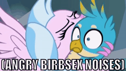 Size: 480x270 | Tagged: suggestive, derpibooru import, edit, edited screencap, editor:anonycat, screencap, gallus, silverstream, classical hippogriff, gryphon, hippogriff, what lies beneath, animated, birb, caption, confused, cropped, descriptive noise, eyes closed, female, frown, gallstream, glomp, hape, hug, image macro, implied sex, interspecies, male, meme, mismatched eyes, out of context, shipping, shocked, smiling, spread wings, straight, text, wide eyes, wings