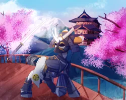 Size: 2000x1600 | Tagged: safe, artist:skylacuna, derpibooru import, oc, oc:shiro reisu, unofficial characters only, pony, armor, badass, bridge, cherry blossoms, clothes, commission, flower, flower blossom, japanese, katana, levitation, magic, mon, pond, samurai, scenery, scenery porn, sword, tack, telekinesis, temple, tokugawa, tree, weapon