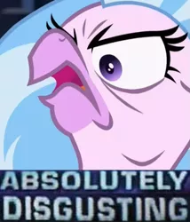 Size: 533x622 | Tagged: absolutely disgusting, cropped, derpibooru import, edit, edited screencap, exploitable meme, female, meme, rage, safe, screencap, silverrage, silverstream, solo, what lies beneath