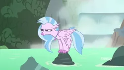 Size: 1920x1080 | Tagged: behaving like a bird, birds doing bird things, classical hippogriff, derpibooru import, female, hippogriff, narrowed eyes, perching, rock, safe, screencap, season 8, silverstream, silverstream is not amused, solo, spoiler:s08, unamused, water, what lies beneath