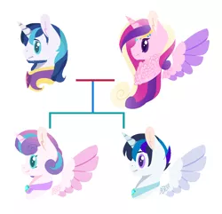 Size: 1114x1072 | Tagged: alicorn, alicorn oc, artist:onedayhm, base used, beard, bust, chest fluff, derpibooru import, facial hair, family, family tree, female, horn, male, oc, oc:north amore, offspring, older, older flurry heart, parent:princess cadance, parent:shining armor, parents:shiningcadance, princess cadance, princess flurry heart, safe, shining armor, shiningcadance, shipping, simple background, stallion, straight, white background, wings