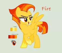 Size: 1736x1488 | Tagged: safe, artist:aurora-light-x, derpibooru import, oc, oc:fire, pegasus, pony, female, mare, reference sheet, simple background, solo