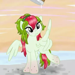 Size: 800x800 | Tagged: safe, artist:sjart117, derpibooru import, oc, oc:watermelana, unofficial characters only, pony, beach, blushing, bucket, freckles, gradient hooves, prank, sad, water, wet, wet mane, wing hands, wings