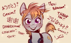 Size: 1370x833 | Tagged: safe, artist:imalou, derpibooru import, oc, oc:cookie malou, unofficial characters only, earth pony, pony, arabic, blushing, chinese text, cyrillic, english, female, french, german, italian, japanese, korean, looking at you, mare, milestone, norwegian, russian, smiling, solo, spanish, swedish, thank you