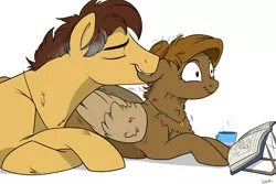 Size: 1280x853 | Tagged: safe, artist:rutkotka, derpibooru import, oc, unofficial characters only, earth pony, pegasus, pony, biting, blushing, book, chest fluff, cup, ear bite, female, fluffy, male, mare, nibbling, nom, reading, scrunchy face, shipping, stallion, straight